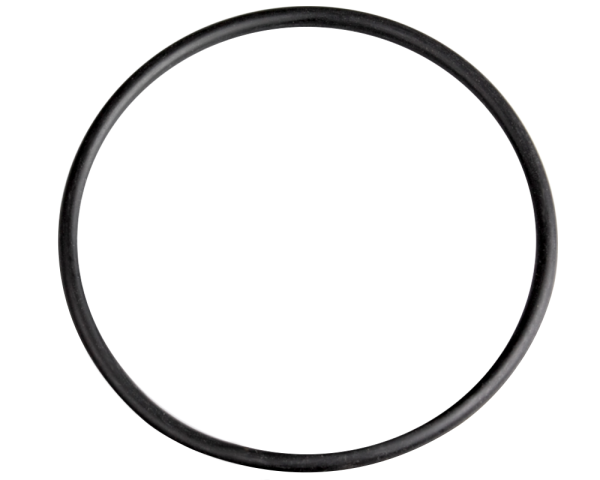 O-Ring 43 mm fr Pentair-Tonneau-Dse - Zum Vergr&ouml;&szlig;ern klicken