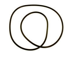 Jacuzzi filter lid o-ring