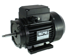 EMG 80/2 single-speed motor, reconditioned