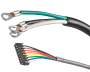 Gecko heat.wav heater for in.yj - Click to enlarge