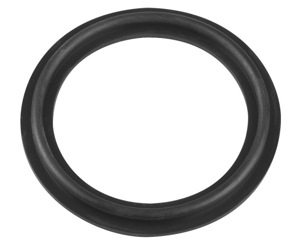SpaNet mm SV heater gasket - Click to enlarge