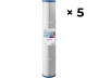 Paquete de 5 filtros Claralys CCST120 / Coast Spas - Haga clic para ampliar